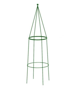 Dehner Obelisk Pietro