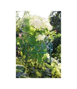 Dehner Metall-Pflanzenstütze Annabelle, Ca. H100 Cm -Gartenmöbel 2481539 WE MO 001 DehnerPflanzenstuetzeAnnabell