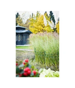 Dehner Metall-Pflanzenstütze Annabelle, Ca. H100 Cm -Gartenmöbel 2481539 WE MO 001 PflanzenstuetzeAnnabell