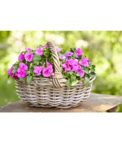 Van Der Leeden Rattan-Korb Mit Henkel, Oval, Braun -Gartenmöbel 3679743 WE MO 002 RattanKorbmitHenkelbraun36x28x14cmBlumentopf