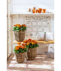 Van Der Leeden Rattan-Pflanzkorb, Grau-braun -Gartenmöbel 4111183 WE MO 004 Rattankorb