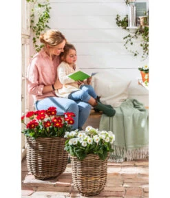 Van Der Leeden Rattan-Pflanzkorb, Grau-braun -Gartenmöbel 4111183 WE MO 005 Rattankorb