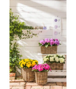 Van Der Leeden Rattan-Pflanzkorb, Grau-braun -Gartenmöbel 4111183 WE MO 014 RattanPflanzkorbgraubraun