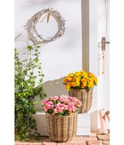 Van Der Leeden Rattan-Pflanzkorb, Grau-braun -Gartenmöbel 4111183 WE MO 015 RattanPflanzkorbgraubraun