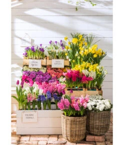 Van Der Leeden Rattan-Pflanzkorb, Grau-braun -Gartenmöbel 4111183 WE MO 017 RattanPflanzkorbgraubraun