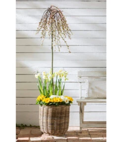 Van Der Leeden Rattan-Pflanzkorb, Grau-braun -Gartenmöbel 4111290 WE MO 013 RattanPflanzkorbgraubraun