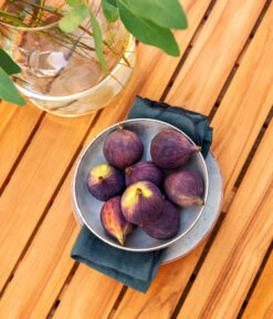 Dehner Aluminium-Lounge Malibu, 2-teilig 19 Dehner Aluminium-Lounge Malibu, 2-teilig -Gartenmöbel 4209870 WE DE 006 LoungeMalibuNEU