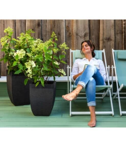 Dehner Strandstuhl Aruba -Gartenmöbel 4418422 WE MO 002 StrandstuhlArubaNeu