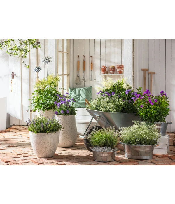 Zink-Wanne Mit Holzgriffen, Rund, Silber 4 Zink-Wanne Mit Holzgriffen, Rund, Silber – Bild 2