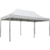 Siena Garden Faltpavillon Pro -Gartenmöbel 6776876 WE FS 001 FALTPAVILLON PRO3X6 WEISS