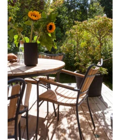 Cinas Stapelstuhl Ellen -Gartenmöbel 6843569 WE MO 002 EllenArmlehnstuhl