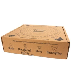 Wildlife Vogeltränke Shenstone, Hellgrün, Ca. Ø44,5/H12 Cm -Gartenmöbel 6952410 WE DE 003 WildlifeShenstoneVogeltraenke